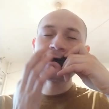 Hello, let's study the jaw's-harp homus