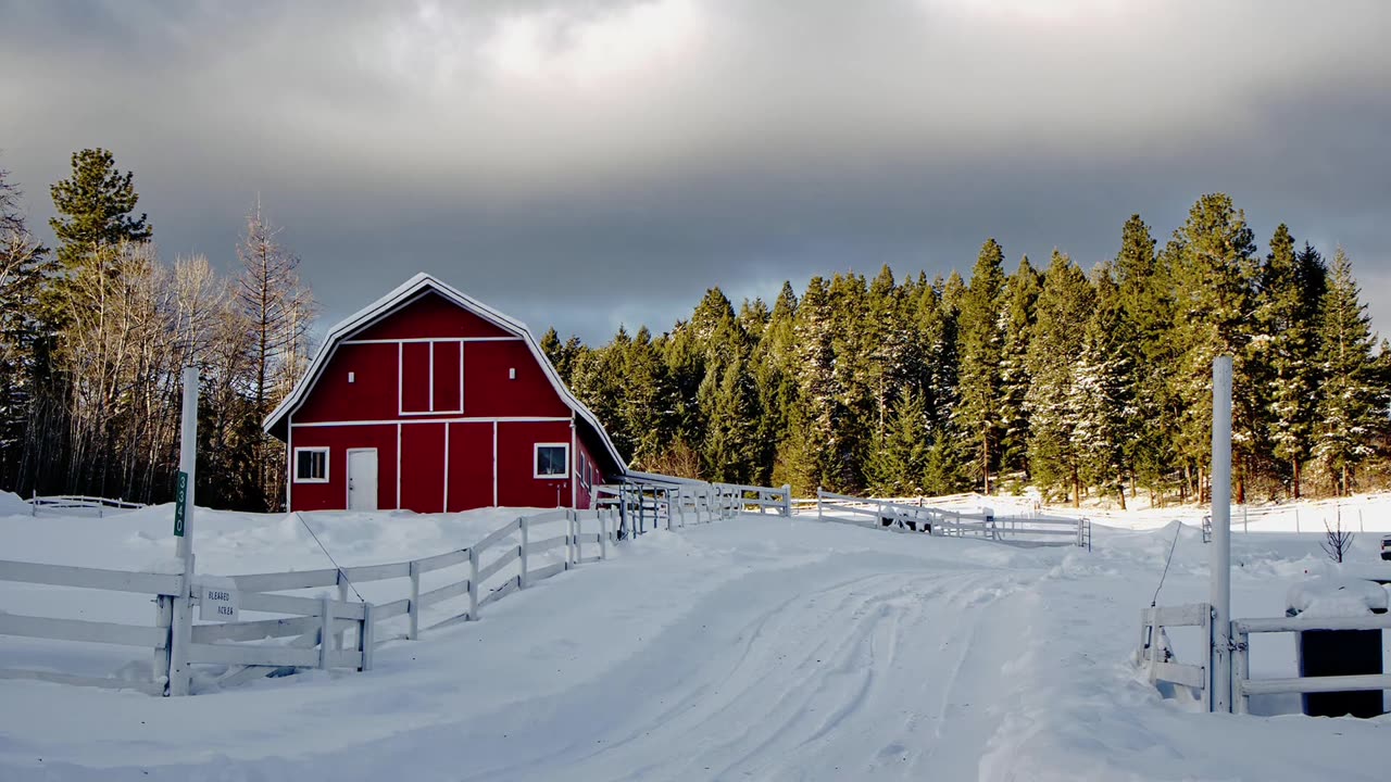 Woodford Barn Repair