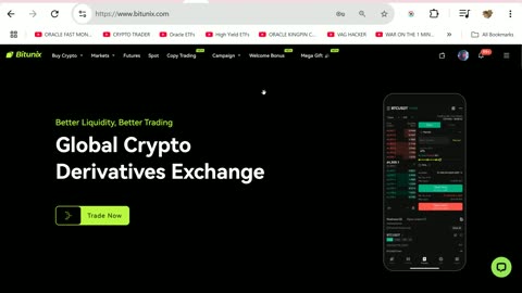 Comprehensive Trading Strategies on Bitunex Exchange