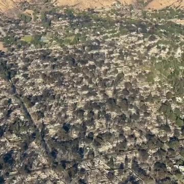 Zona de Incendios - Solo afecta casas y no arboles ?