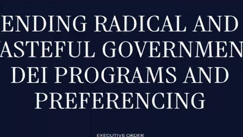 DEI Meaning Trump Ending Radical and Wasteful Diversity Equity Inclusion Programs and Preferencing