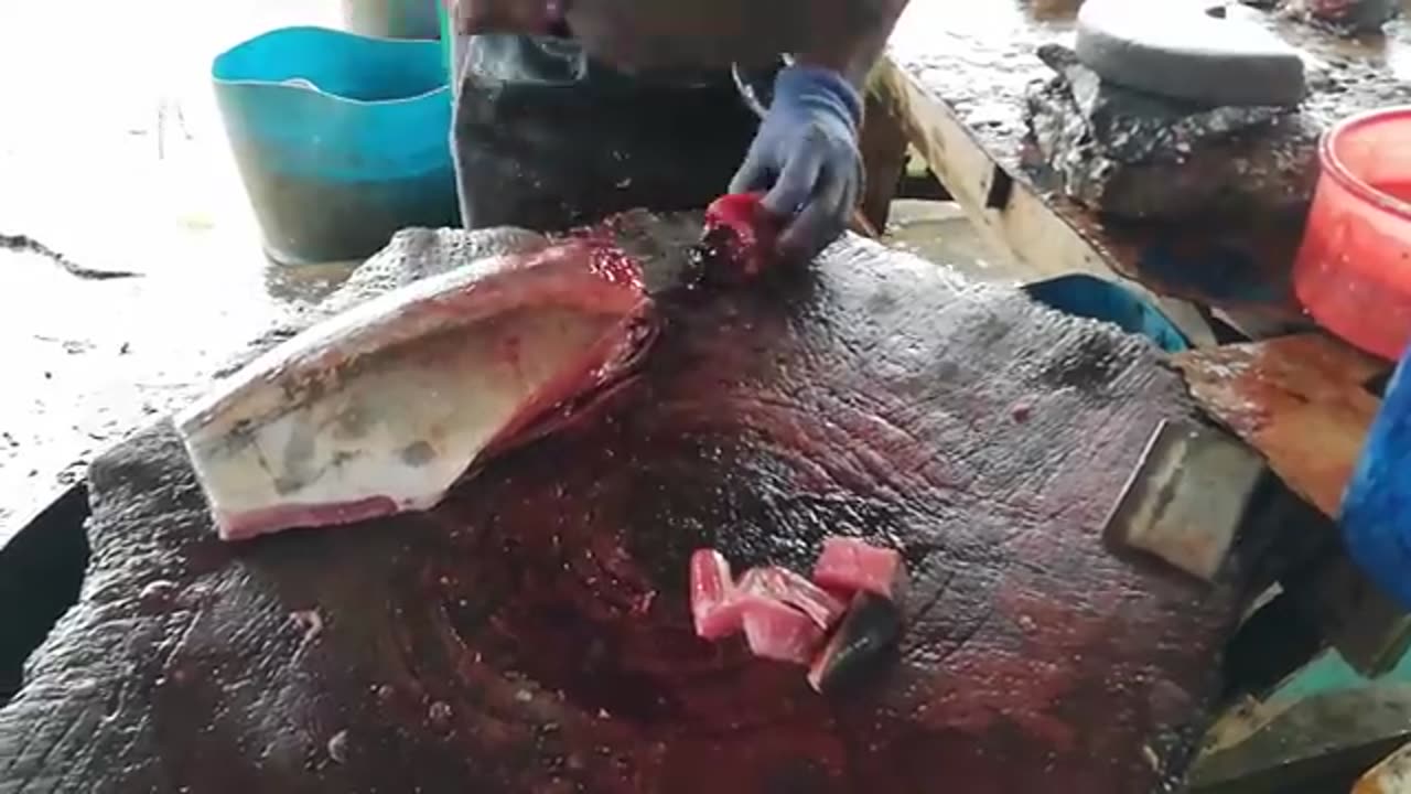 Cutting Yellow Fin Tuna Fish _ Fish Cutting Skills