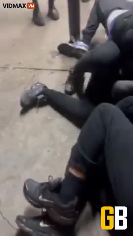 SHITSKINS AND NIGGERS RUN WILD IN FRANCE SHITHOLE.mp4