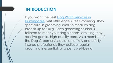 Best Dog Wash Services in Huntingdale