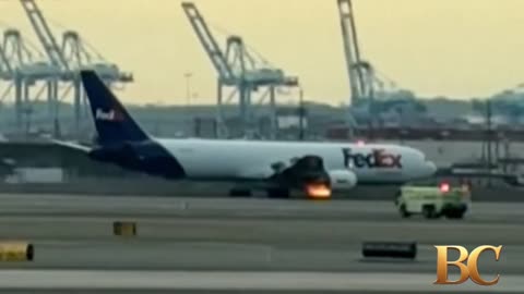 FedEx flight catches fire after colliding with bird during takeoff from Newark airport