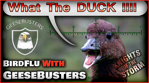 EP109 - 01 FEB 2025 - BirdFlu with GeeseBusters