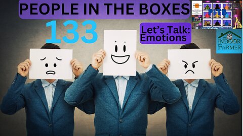 People In The Boxes ep 133, Baggage? Chemical Imbalance? Let's Revisit Emotions