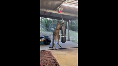 एक्साइज