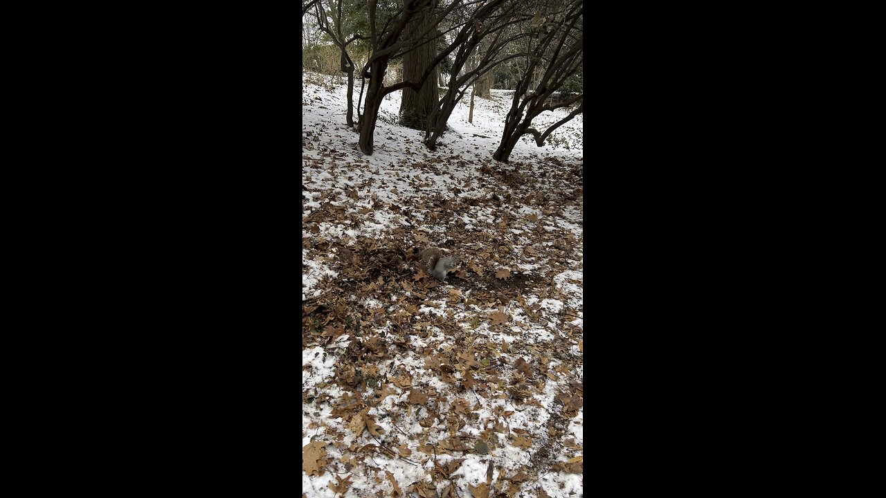 Winter’s Quest: Food Search in the Snowy Landscape