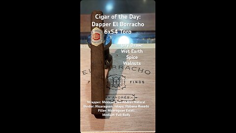 Dapper El Borracho 6x54 Toro #Shorts #Short #CigarOfTheDay #CigarReview