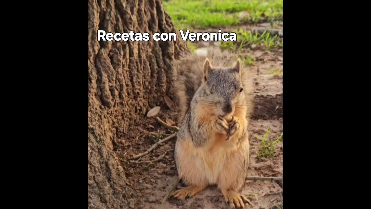 Dándole de comer al ardillita