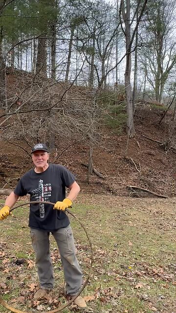 Look What Helene Uncovered