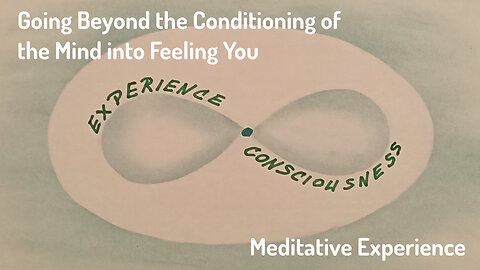 #3 Going Beyond the Conditioning of the Mind Into Feeling You - Meditative Experience/Energy Work