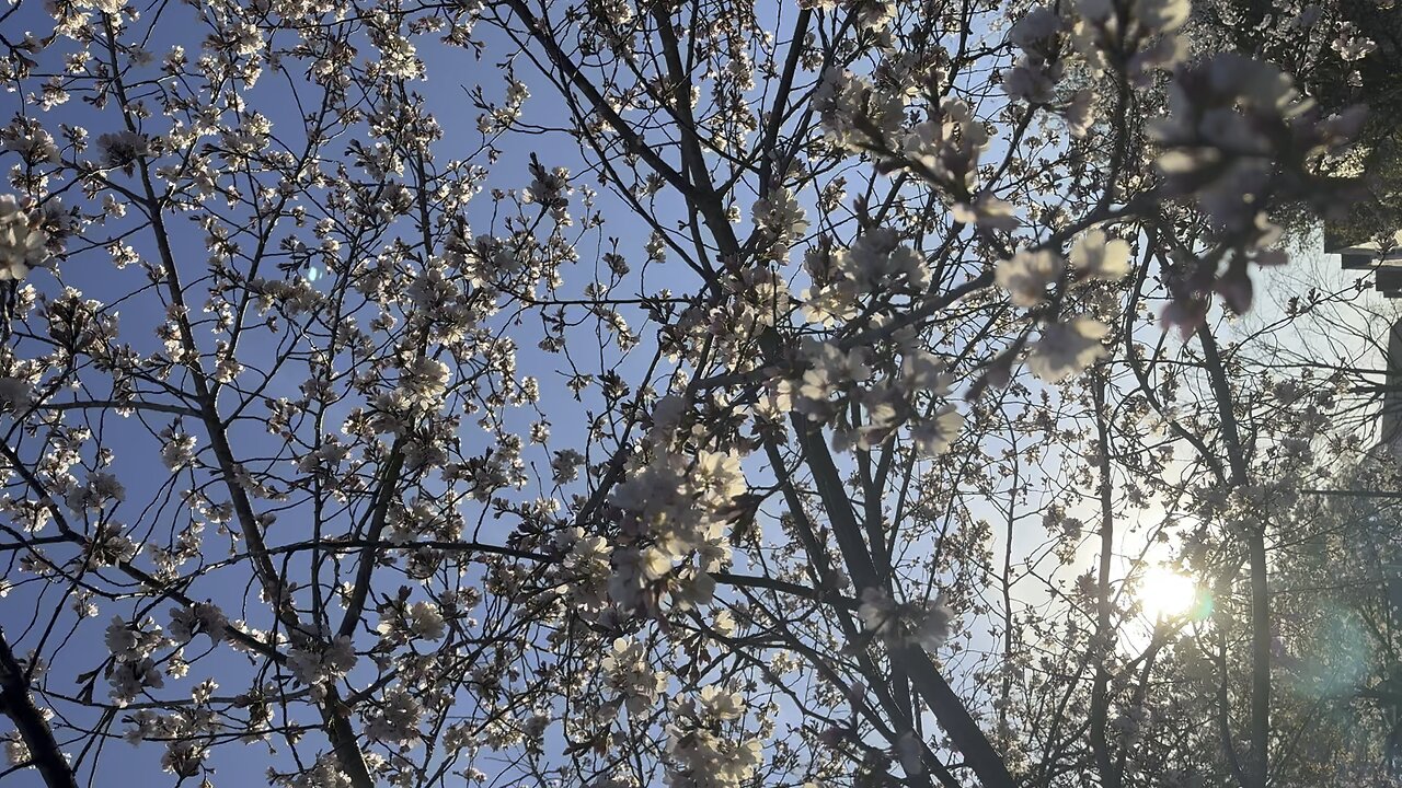 Spring season is here
