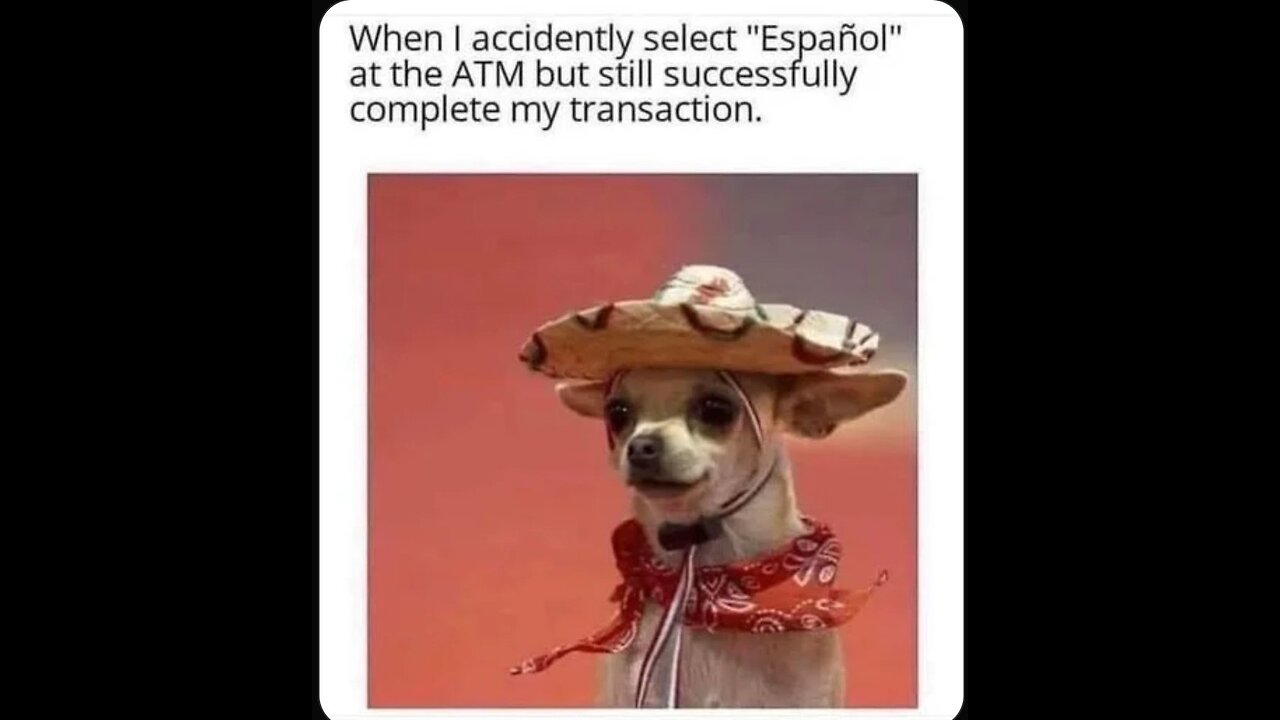 Memes That Will 99.0109% Make You Laugh. (e333)