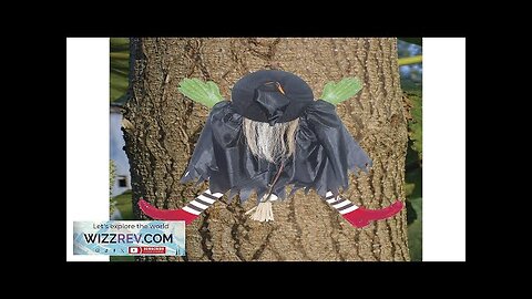 Witch Crashing into Tree Halloween Decoration Review