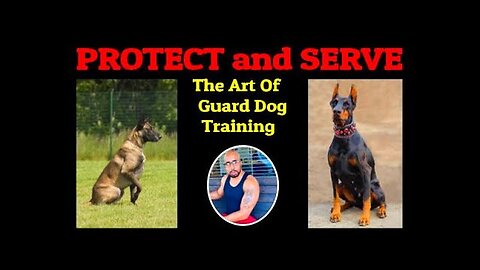 Guard Dog 101: How to Train Your Canine Protector