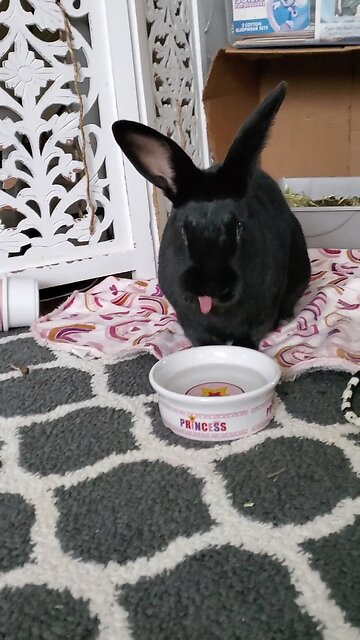 Thirsty slurps 😋😆