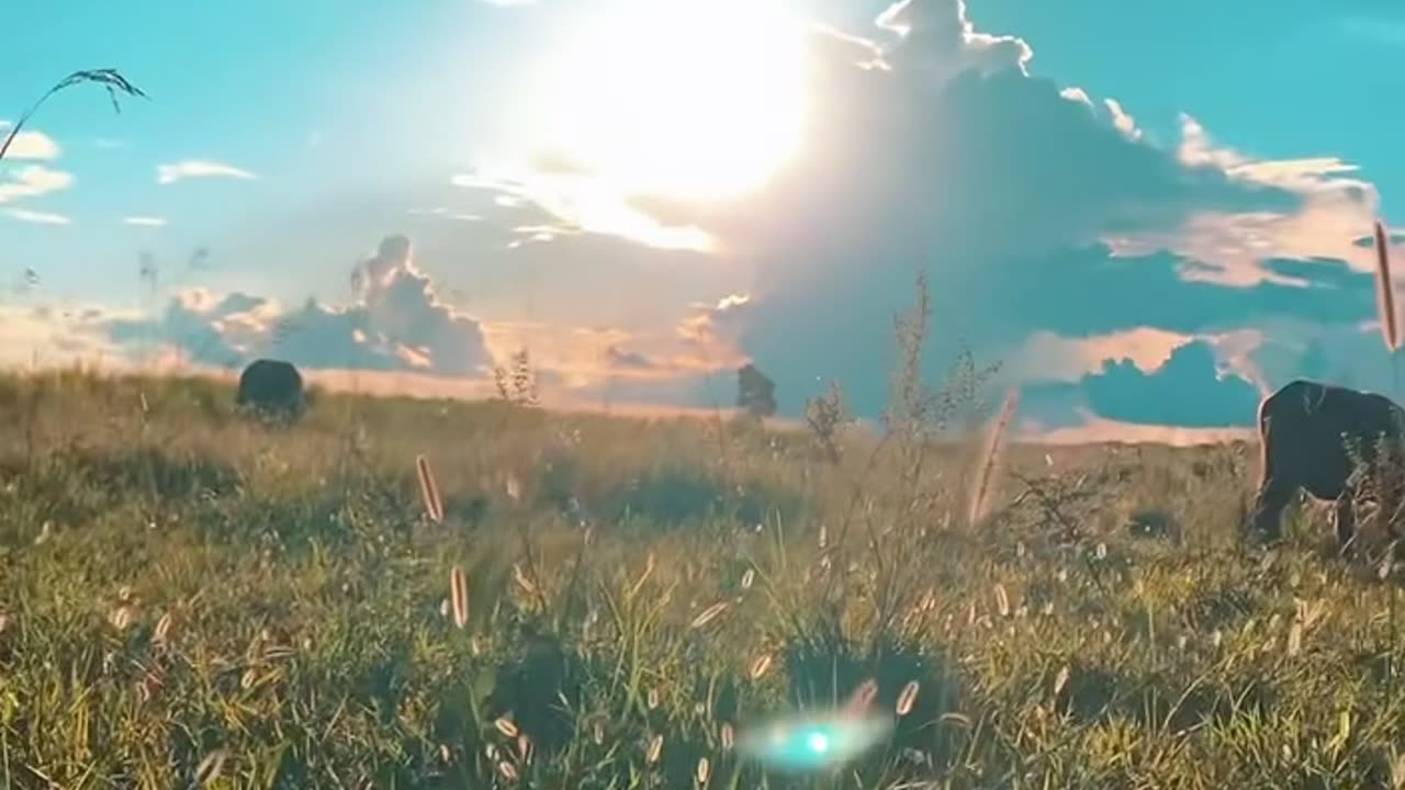 Beautiful nature place-heaven