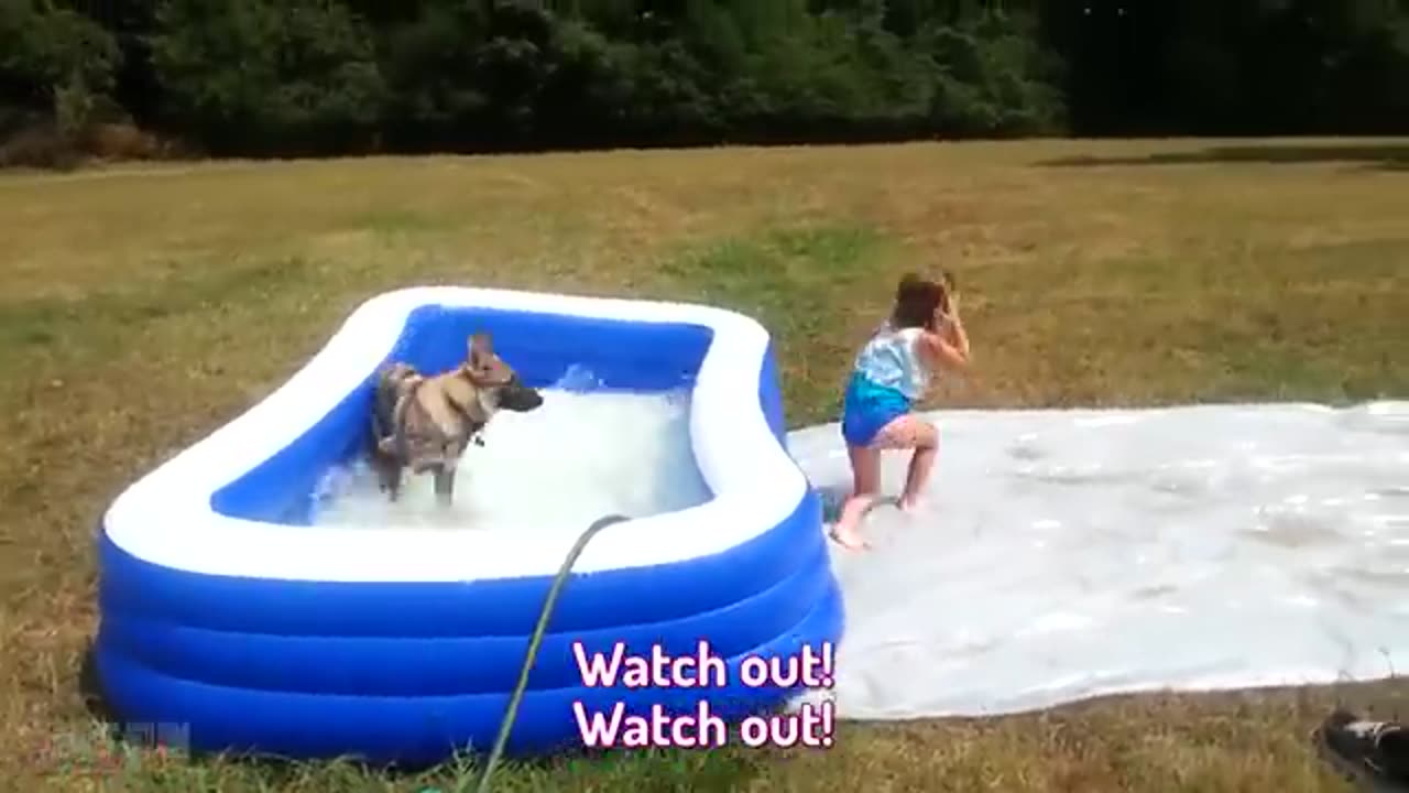 fun babies