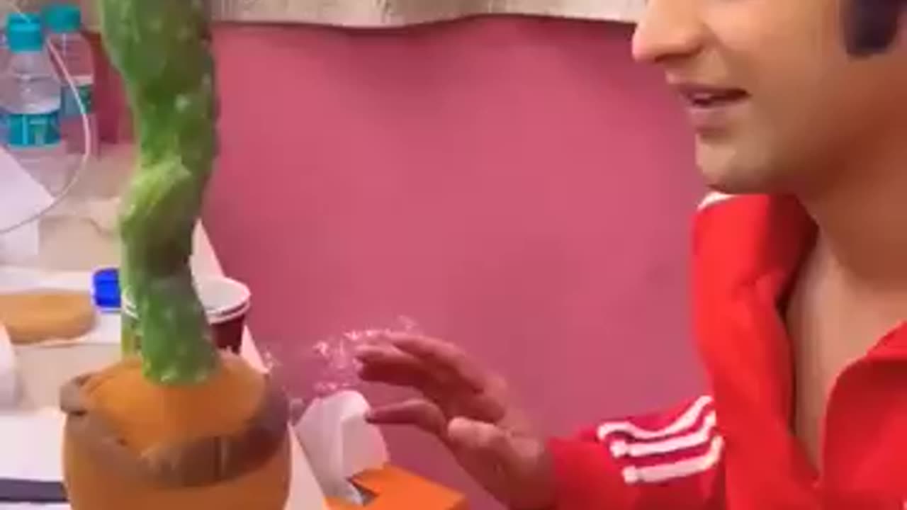 Teddy copying its Owner
