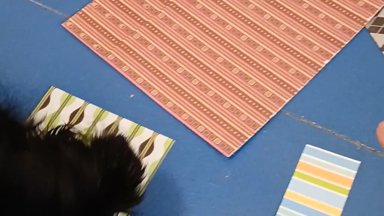 The Momma is making me a new bank and this is the background I choose! Buster is being a butt again