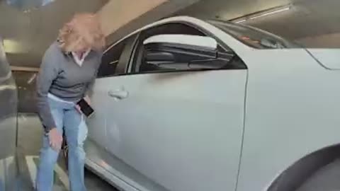 Tesla vandal caught on Tesla camera LOL Lady had to pay $7k in damages