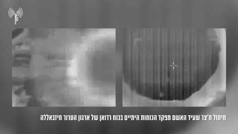 IDF Spokesperson | Documentation of the assassination: We assassinated the