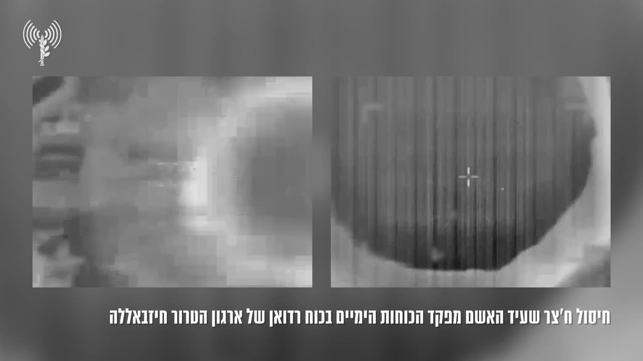 IDF Spokesperson | Documentation of the assassination: We assassinated the