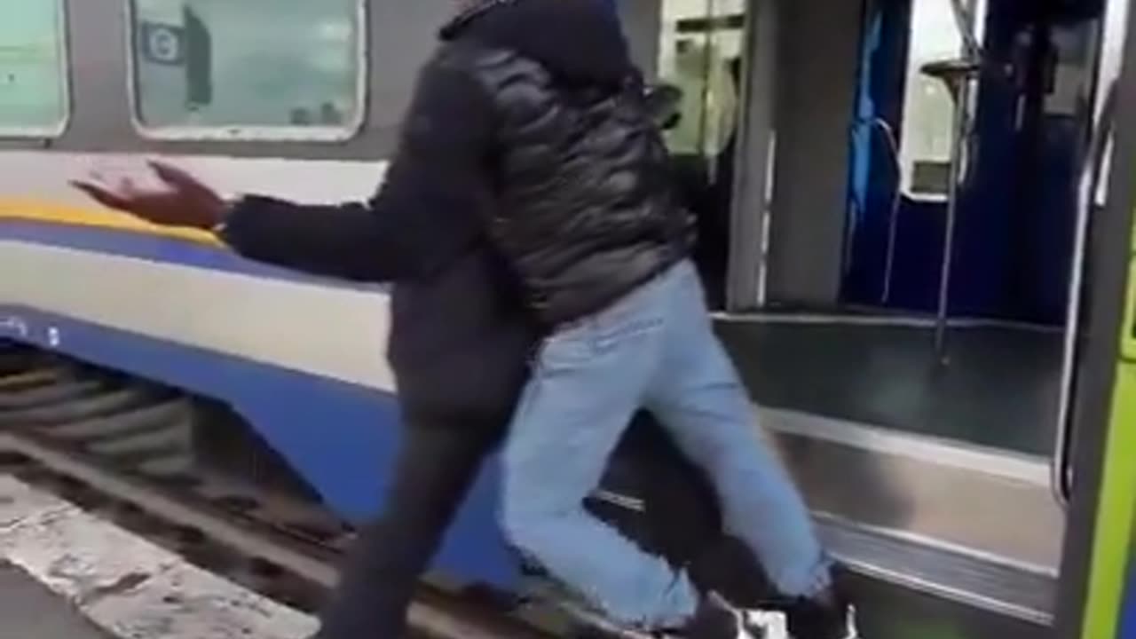 African attacks Italian train conductor because he wanted to ride with no ticket