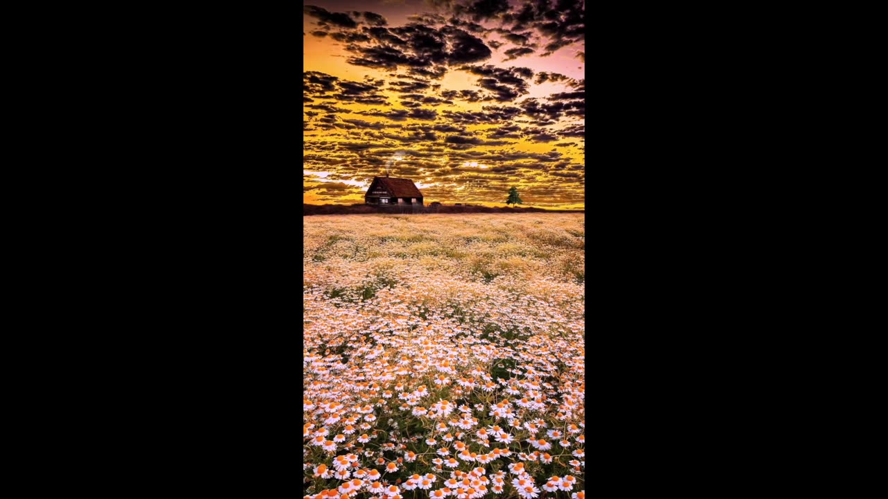 THE BREATHTAKING VIEW OF THE SUNSET UPLIFTS MOODS AND REDUCES DEPRESSION #sunset #shorts #short