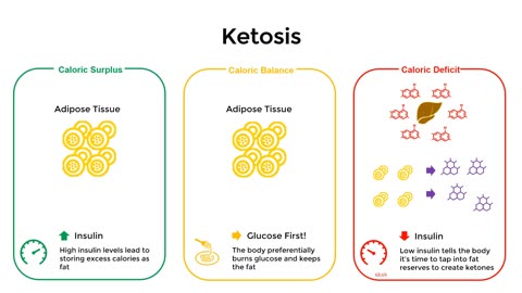 How Ketosis Works