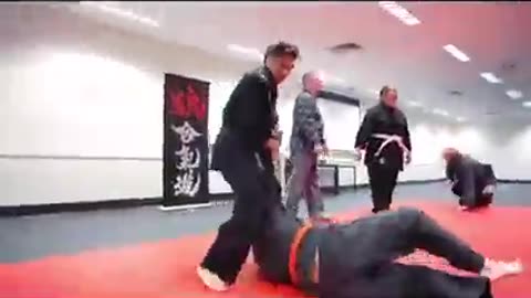 Hapkido