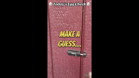 🥚 Yesterday’s Egg Check! 🥚