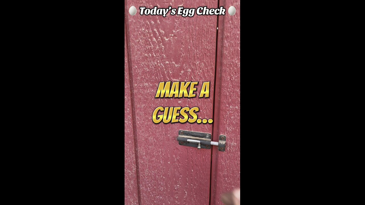 🥚 Yesterday’s Egg Check! 🥚