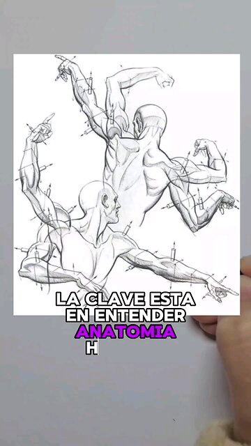 Drawing Human Body 🎨