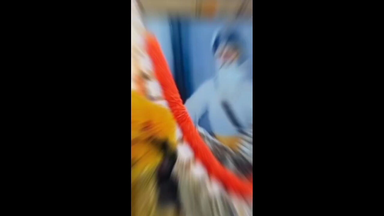 dhan dhan baba Deep Singh ji