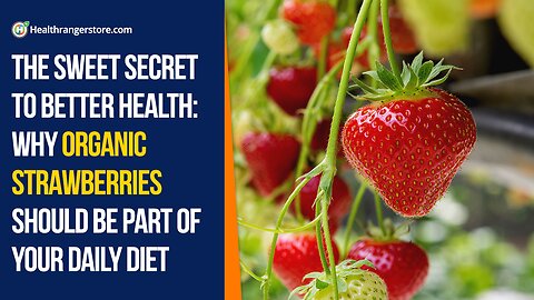 The sweet secret to better health: Why Organic Strawberries should be part of your daily diet