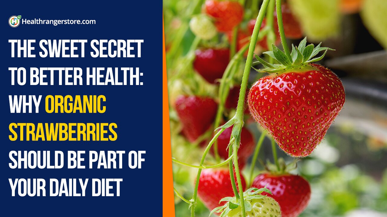 The sweet secret to better health: Why Organic Strawberries should be part of your daily diet