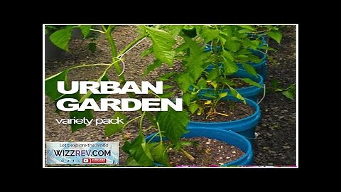 All-in-One Urban Garden Variety Pack – Seeds Review