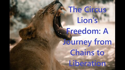 The Circus Lion’s Freedom: A Journey from Chains to Liberation