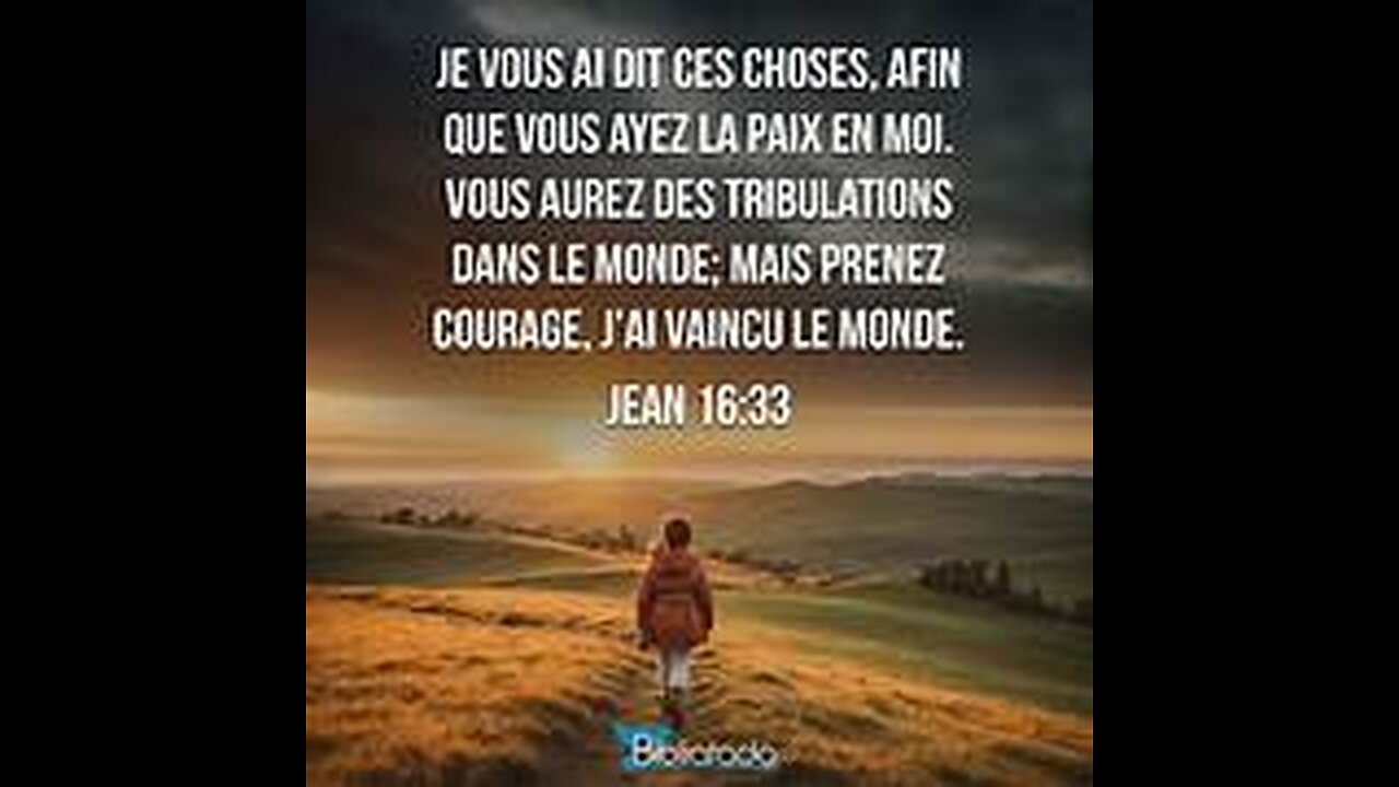 Les témoignages