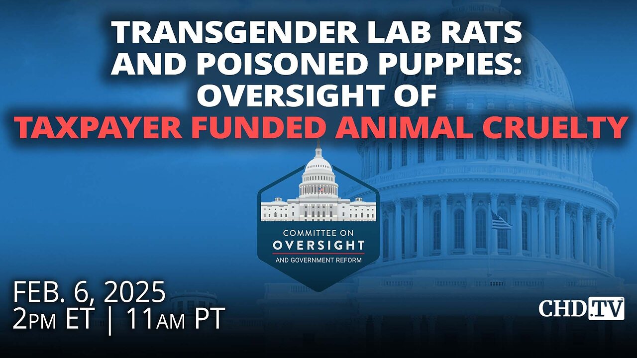 Transgender Lab Rats and Poisoned Puppies: Oversight of Taxpayer Funded Animal Cruelty