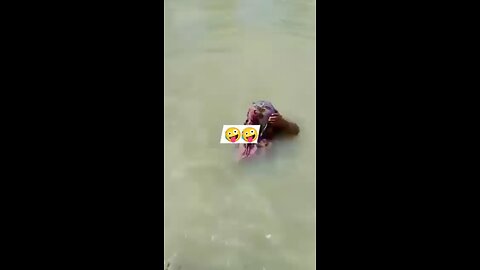 river