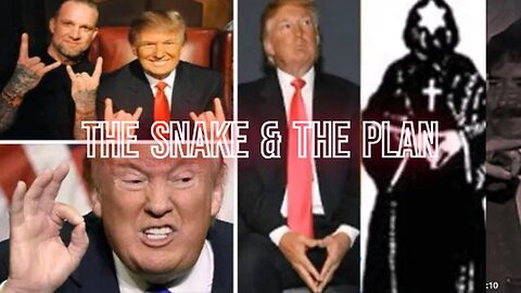 THE SNAKE & THE PLAN - 1