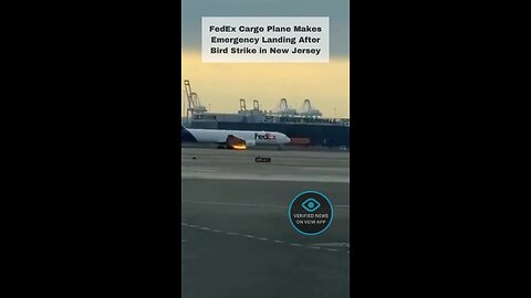 FedEx Cargo Plane Makes Emergency Landing After Bird Strike in New Jersey