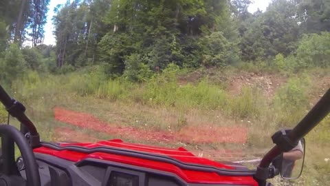 Breaking in the Honda SxS and looking for Grouse on the Hunting Lease.