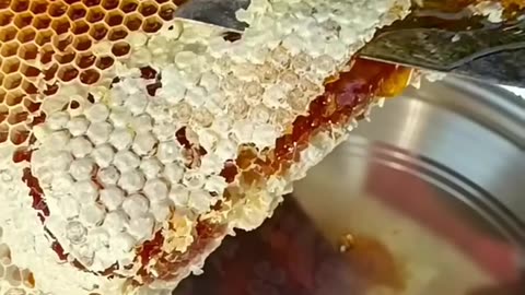 Why You Should Add Honey to Your Daily Routine! 🍯