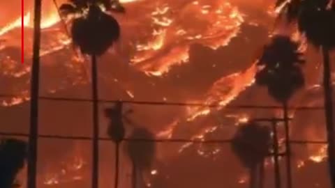 🔥 Inferno Unleashed: Man Captures Wild Fire in Stunning Detail 📹