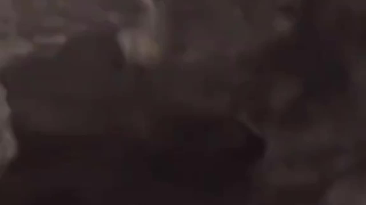 Ewoks Part 2
